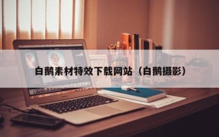 威海白鹅素材特效下载网站（白鹅摄影）